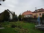 Třibřichy